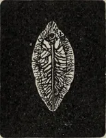 An illustration from A text-book of pathology / by Alfred Stengel ; with 394 illustrations in the text, many of them in colors, and 7 full-page chromolithographic plates. (1903)