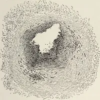 An illustration from A text-book of pathology / by Alfred Stengel ; with 394 illustrations in the text, many of them in colors, and 7 full-page chromolithographic plates. (1903)