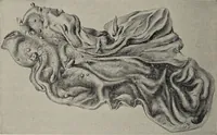 An illustration from A text-book of pathology / by Alfred Stengel ; with 394 illustrations in the text, many of them in colors, and 7 full-page chromolithographic plates. (1903)