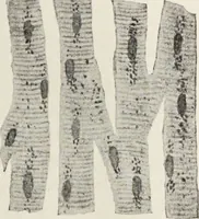 Picture 6 of 178 from A text-book of pathology / by Alfred Stengel ; with 394 illustrations in the text, many of them in colors, and 7 full-page chromolithographic plates. (1903), leaf 73