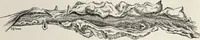 An illustration from A text-book of pathology / by Alfred Stengel ; with 394 illustrations in the text, many of them in colors, and 7 full-page chromolithographic plates. (1903)