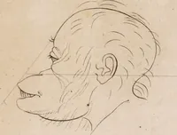 An illustration from Treatise on the influence of climate on the human species; and on the varieties of men resulting from it; including an account of the criteria of intelligence which the form of the head presents; and a sketch of a rational system of physiognomy as founded on physiology / By N.C. Pitta, M.D., President of the Royal Physical Society of Edinburgh, extraordinary member of the Royal Medical Society of the same city, member of the Society of Natural History there, and physician at Madeira. (1812)
