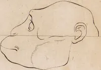 An illustration from Treatise on the influence of climate on the human species; and on the varieties of men resulting from it; including an account of the criteria of intelligence which the form of the head presents; and a sketch of a rational system of physiognomy as founded on physiology / By N.C. Pitta, M.D., President of the Royal Physical Society of Edinburgh, extraordinary member of the Royal Medical Society of the same city, member of the Society of Natural History there, and physician at Madeira. (1812)