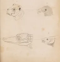 Picture 4 of 10 from Treatise on the influence of climate on the human species; and on the varieties of men resulting from it; including an account of the criteria of intelligence which the form of the head presents; and a sketch of a rational system of physiognomy as founded on physiology / By N.C. Pitta, M.D., President of the Royal Physical Society of Edinburgh, extraordinary member of the Royal Medical Society of the same city, member of the Society of Natural History there, and physician at Madeira. (1812), leaf 105