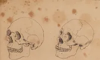 Picture 5 of 10 from Treatise on the influence of climate on the human species; and on the varieties of men resulting from it; including an account of the criteria of intelligence which the form of the head presents; and a sketch of a rational system of physiognomy as founded on physiology / By N.C. Pitta, M.D., President of the Royal Physical Society of Edinburgh, extraordinary member of the Royal Medical Society of the same city, member of the Society of Natural History there, and physician at Madeira. (1812), leaf 109