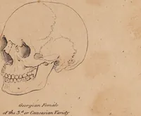 Picture 6 of 10 from Treatise on the influence of climate on the human species; and on the varieties of men resulting from it; including an account of the criteria of intelligence which the form of the head presents; and a sketch of a rational system of physiognomy as founded on physiology / By N.C. Pitta, M.D., President of the Royal Physical Society of Edinburgh, extraordinary member of the Royal Medical Society of the same city, member of the Society of Natural History there, and physician at Madeira. (1812), leaf 109