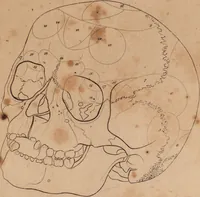 Picture 9 of 10 from Treatise on the influence of climate on the human species; and on the varieties of men resulting from it; including an account of the criteria of intelligence which the form of the head presents; and a sketch of a rational system of physiognomy as founded on physiology / By N.C. Pitta, M.D., President of the Royal Physical Society of Edinburgh, extraordinary member of the Royal Medical Society of the same city, member of the Society of Natural History there, and physician at Madeira. (1812), leaf 113