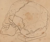 Picture 10 of 10 from Treatise on the influence of climate on the human species; and on the varieties of men resulting from it; including an account of the criteria of intelligence which the form of the head presents; and a sketch of a rational system of physiognomy as founded on physiology / By N.C. Pitta, M.D., President of the Royal Physical Society of Edinburgh, extraordinary member of the Royal Medical Society of the same city, member of the Society of Natural History there, and physician at Madeira. (1812), leaf 113