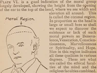 Picture 1 of 3 from Heads and how to read them : a popular guide to phrenology / by Stackpool E. O'Dell. (1901), leaf 42