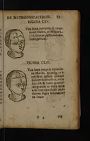 Picture 55 of 162 from Philippi Phinellae, De methoposcopia astronomica de duodecim signis coelestibus. (1650), leaf 101