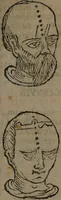 Picture 60 of 162 from Philippi Phinellae, De methoposcopia astronomica de duodecim signis coelestibus. (1650), leaf 111