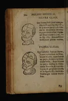 Picture 61 of 162 from Philippi Phinellae, De methoposcopia astronomica de duodecim signis coelestibus. (1650), leaf 114
