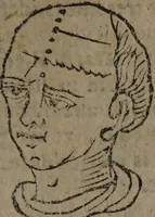 Picture 62 of 162 from Philippi Phinellae, De methoposcopia astronomica de duodecim signis coelestibus. (1650), leaf 115