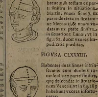 Picture 63 of 162 from Philippi Phinellae, De methoposcopia astronomica de duodecim signis coelestibus. (1650), leaf 115