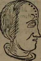 Picture 73 of 162 from Philippi Phinellae, De methoposcopia astronomica de duodecim signis coelestibus. (1650), leaf 123