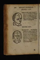 Picture 76 of 162 from Philippi Phinellae, De methoposcopia astronomica de duodecim signis coelestibus. (1650), leaf 126