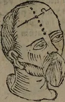 Picture 77 of 162 from Philippi Phinellae, De methoposcopia astronomica de duodecim signis coelestibus. (1650), leaf 127