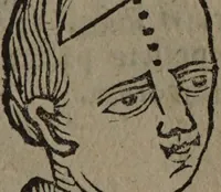 Picture 80 of 162 from Philippi Phinellae, De methoposcopia astronomica de duodecim signis coelestibus. (1650), leaf 129