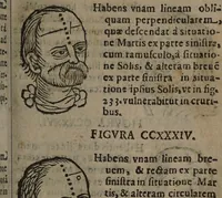 Picture 90 of 162 from Philippi Phinellae, De methoposcopia astronomica de duodecim signis coelestibus. (1650), leaf 141