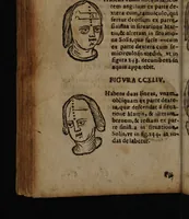 Picture 94 of 162 from Philippi Phinellae, De methoposcopia astronomica de duodecim signis coelestibus. (1650), leaf 146
