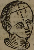 Picture 115 of 162 from Philippi Phinellae, De methoposcopia astronomica de duodecim signis coelestibus. (1650), leaf 173