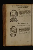 Picture 129 of 162 from Philippi Phinellae, De methoposcopia astronomica de duodecim signis coelestibus. (1650), leaf 184