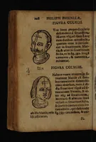 Picture 152 of 162 from Philippi Phinellae, De methoposcopia astronomica de duodecim signis coelestibus. (1650), leaf 222