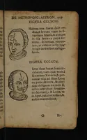 Picture 153 of 162 from Philippi Phinellae, De methoposcopia astronomica de duodecim signis coelestibus. (1650), leaf 223