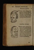 Picture 156 of 162 from Philippi Phinellae, De methoposcopia astronomica de duodecim signis coelestibus. (1650), leaf 226