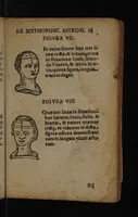Picture 6 of 162 from Philippi Phinellae, De methoposcopia astronomica de duodecim signis coelestibus. (1650), leaf 25