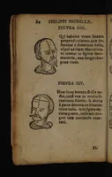 Picture 8 of 162 from Philippi Phinellae, De methoposcopia astronomica de duodecim signis coelestibus. (1650), leaf 28