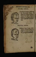 Picture 10 of 162 from Philippi Phinellae, De methoposcopia astronomica de duodecim signis coelestibus. (1650), leaf 38