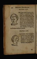 Picture 21 of 162 from Philippi Phinellae, De methoposcopia astronomica de duodecim signis coelestibus. (1650), leaf 54