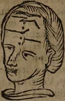 Picture 27 of 162 from Philippi Phinellae, De methoposcopia astronomica de duodecim signis coelestibus. (1650), leaf 58