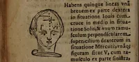 Picture 28 of 162 from Philippi Phinellae, De methoposcopia astronomica de duodecim signis coelestibus. (1650), leaf 58