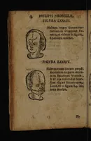 Picture 31 of 162 from Philippi Phinellae, De methoposcopia astronomica de duodecim signis coelestibus. (1650), leaf 64