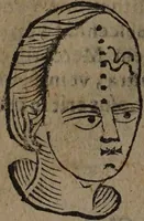Picture 40 of 162 from Philippi Phinellae, De methoposcopia astronomica de duodecim signis coelestibus. (1650), leaf 84