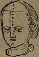 Picture 42 of 162 from Philippi Phinellae, De methoposcopia astronomica de duodecim signis coelestibus. (1650), leaf 86
