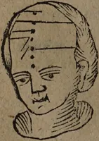 Picture 43 of 162 from Philippi Phinellae, De methoposcopia astronomica de duodecim signis coelestibus. (1650), leaf 86