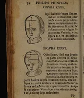 Picture 44 of 162 from Philippi Phinellae, De methoposcopia astronomica de duodecim signis coelestibus. (1650), leaf 86