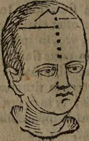 Picture 47 of 162 from Philippi Phinellae, De methoposcopia astronomica de duodecim signis coelestibus. (1650), leaf 90