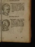 Picture 51 of 162 from Philippi Phinellae, De methoposcopia astronomica de duodecim signis coelestibus. (1650), leaf 95