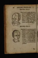 Picture 52 of 162 from Philippi Phinellae, De methoposcopia astronomica de duodecim signis coelestibus. (1650), leaf 96