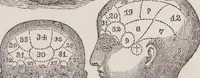 An illustration from An introduction to phrenology, in the form of question and answer. With an appendix, and copious illustrative notes / By Robert Macnish. (1836)
