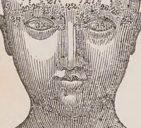An illustration from An introduction to phrenology, in the form of question and answer. With an appendix, and copious illustrative notes / By Robert Macnish. (1836)