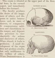 Picture 3 of 6 from Elements of phrenology / [George Combe]. (1850), leaf 111