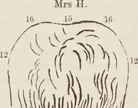 An illustration from Elements of phrenology / [George Combe]. (1850)